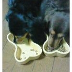 モンちゃんナッツちゃん