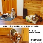 羽村動物小国のみんな